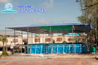 Bể bơi lắp ghép hoàn thành | Dự án hồ bơi di động trường tiểu học 1 thị trấn Năm Căn