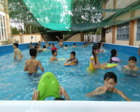 be boi thong minh swana