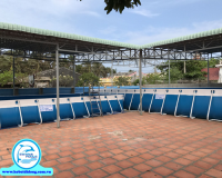 hồ bơi di động swana